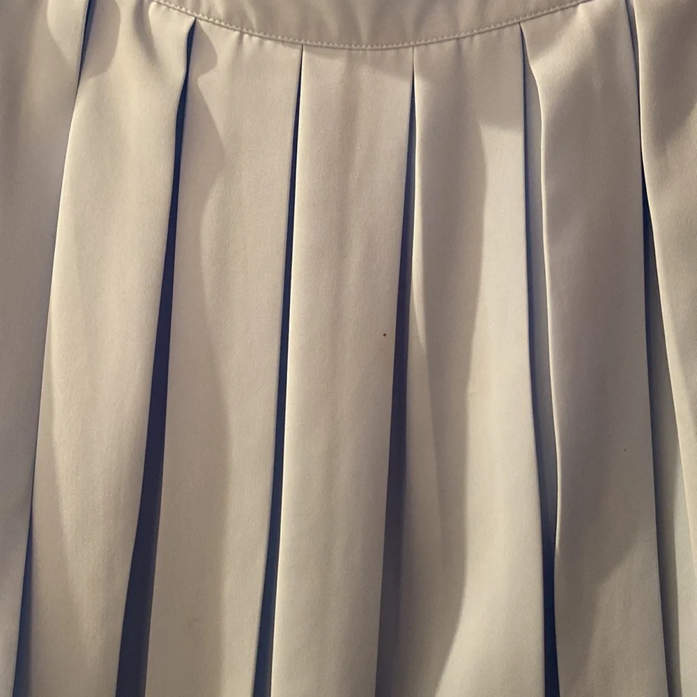 Baby Blue Pleated Skirt - Picture 3 of 6